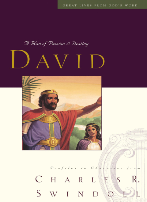Cover image for book Great Lives: David