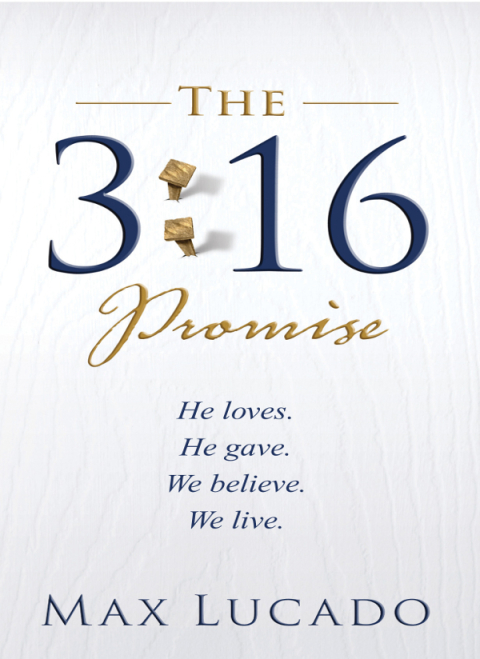 Cover image for book The 3:16 Promise