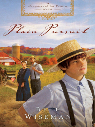 Plain Pursuit