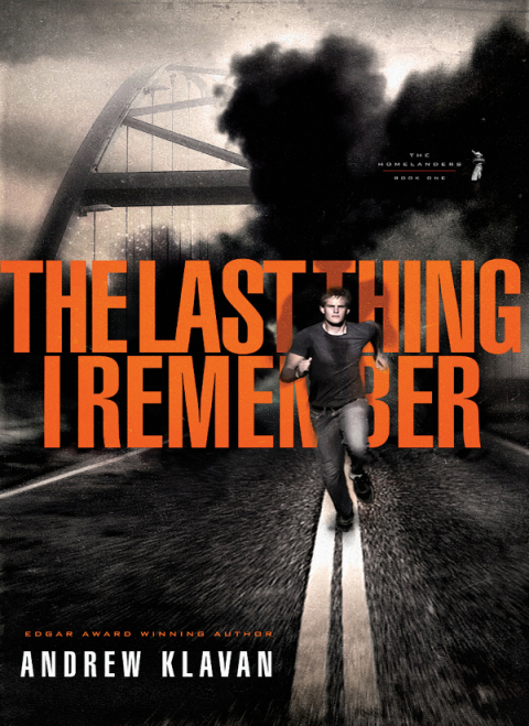 Cover image for book The Last Thing I Remember