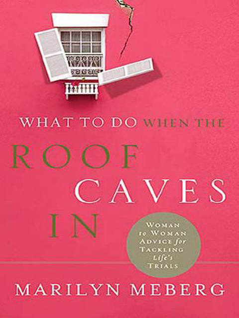 Cover image for book What to Do When the Roof Caves In