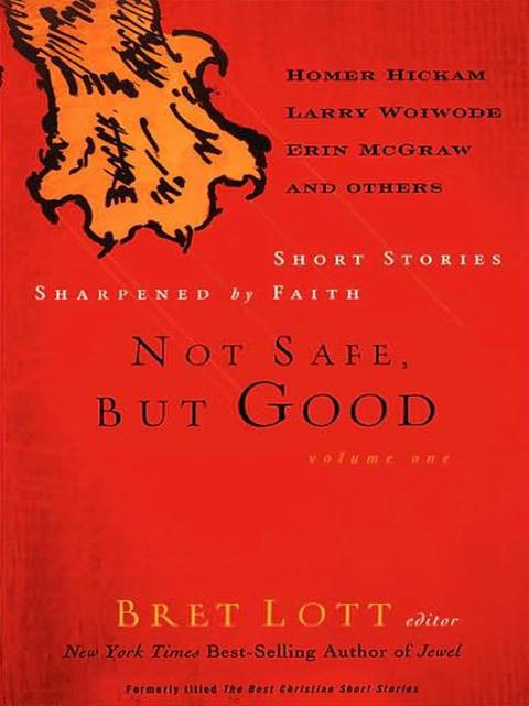Cover image for book Not Safe, but Good (vol. 1)