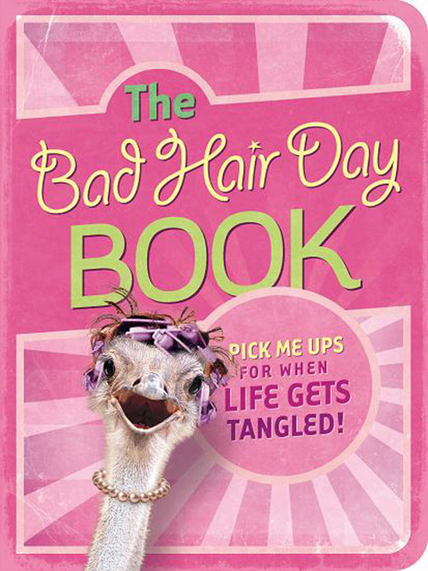 Cover image for book The Bad Hair Day Book
