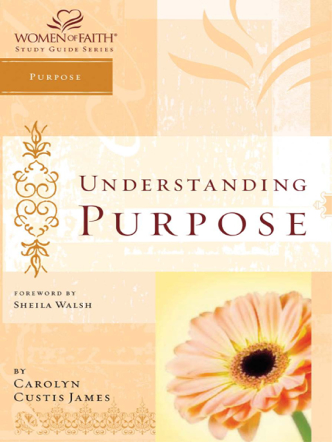 Cover image for book Understanding Purpose