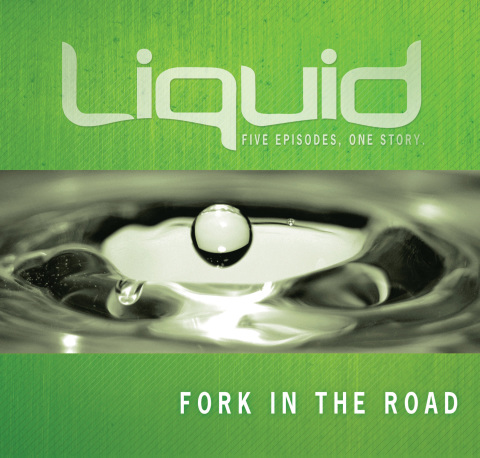 Cover image for book Fork in the Road Participant's Guide
