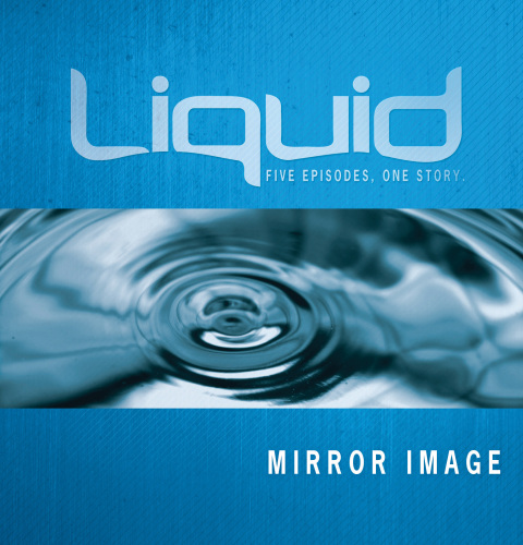Cover image for book Mirror Image Participant's Guide