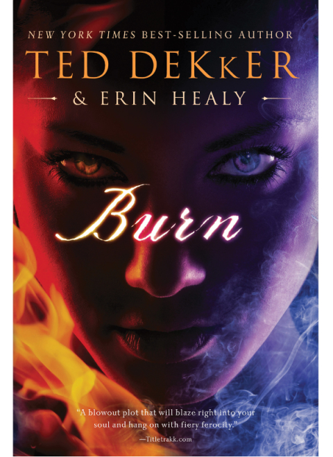 Cover image for book Burn