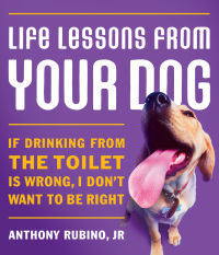 صورة الغلاف: Life Lessons from Your Dog 9781401603434