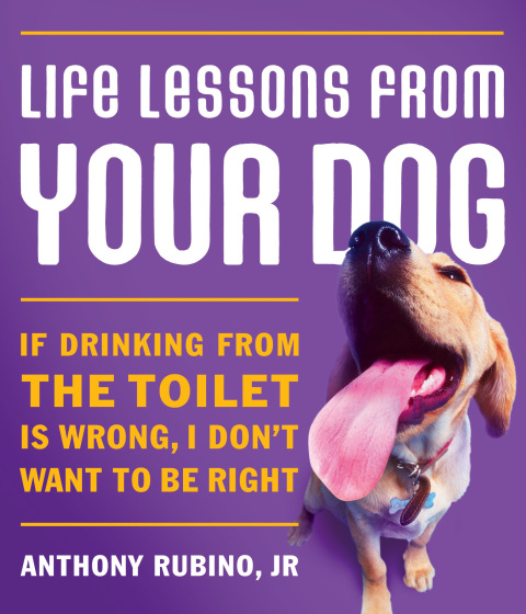 Cover image for book Life Lessons from Your Dog
