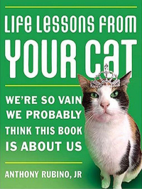 صورة الغلاف: Life Lessons from Your Cat 9781401603427