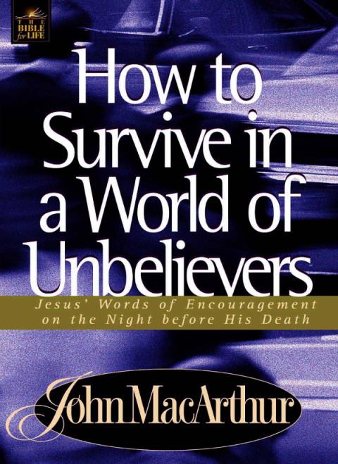 Cover image for book How to Survive in a World of Unbelievers