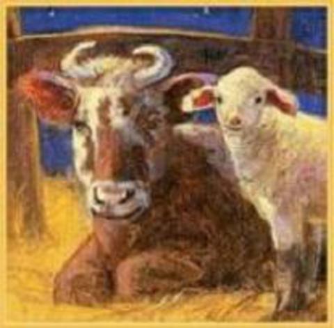 Cover image for book The Crippled Lamb Board book