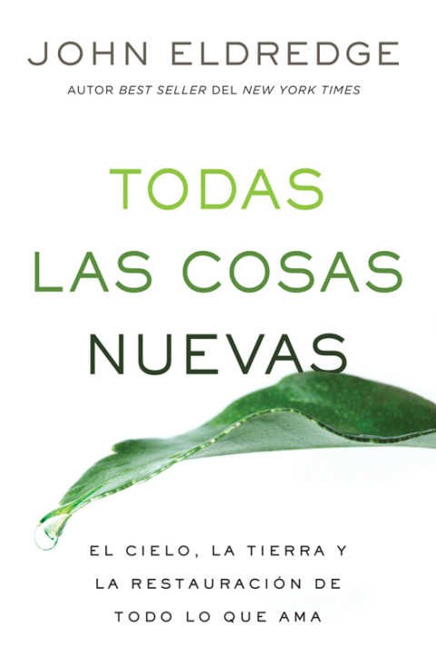 Cover image for book Todas las cosas nuevas