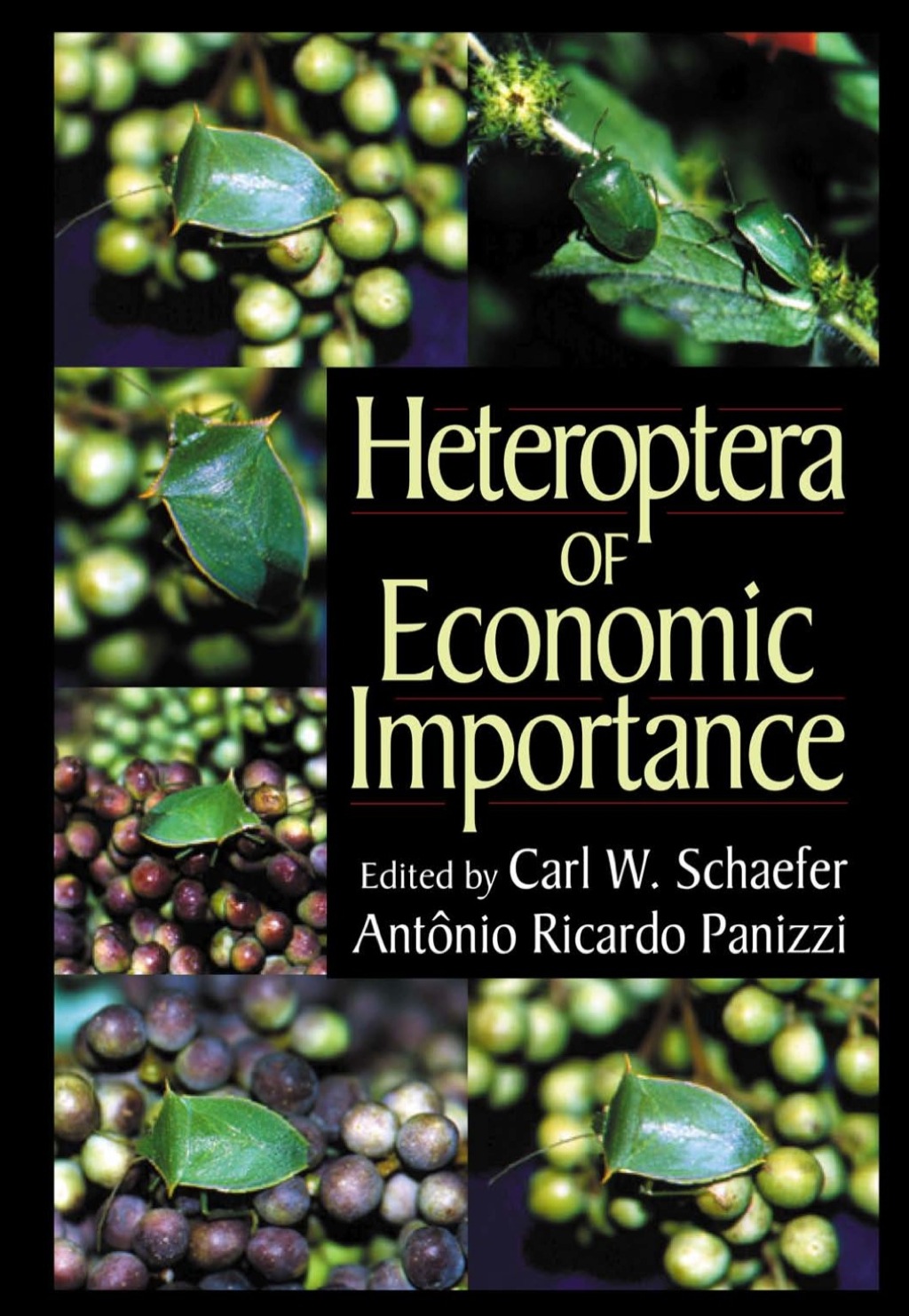 Heteroptera of Economic Importance