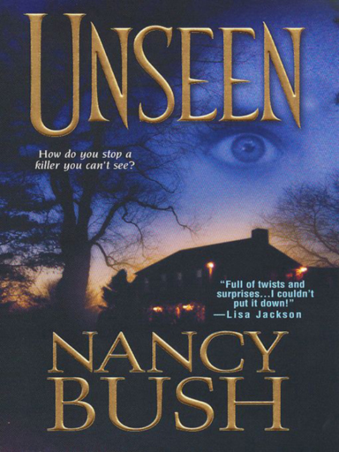 Cover image for book Unseen