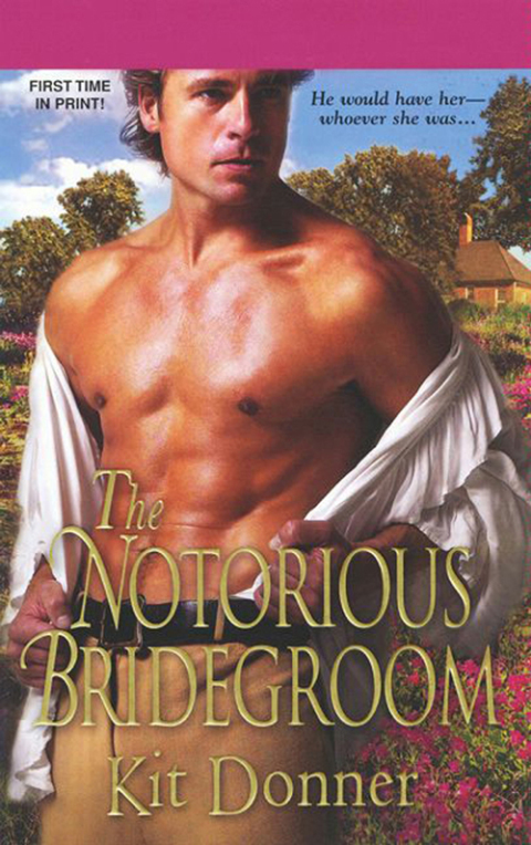 Cover image for book The Notorious Bridegroom