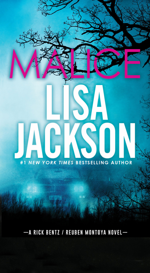 Cover image for book Malice