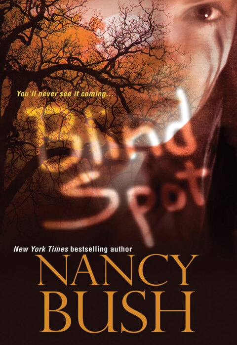 Cover image for book Blind Spot