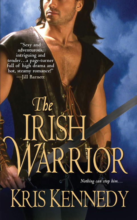 Cover image for book The Irish Warrior
