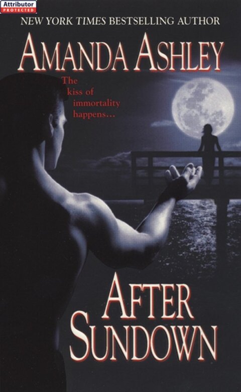 Cover image for book After Sundown