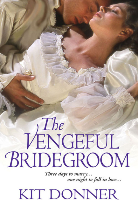Cover image for book The Vengeful Bridegroom