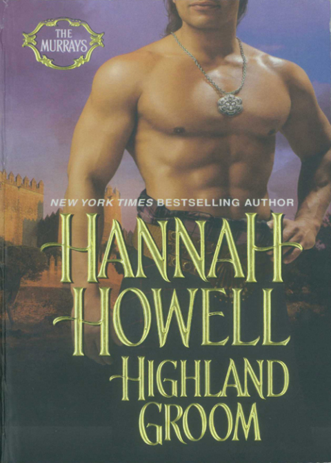Cover image for book Highland Groom