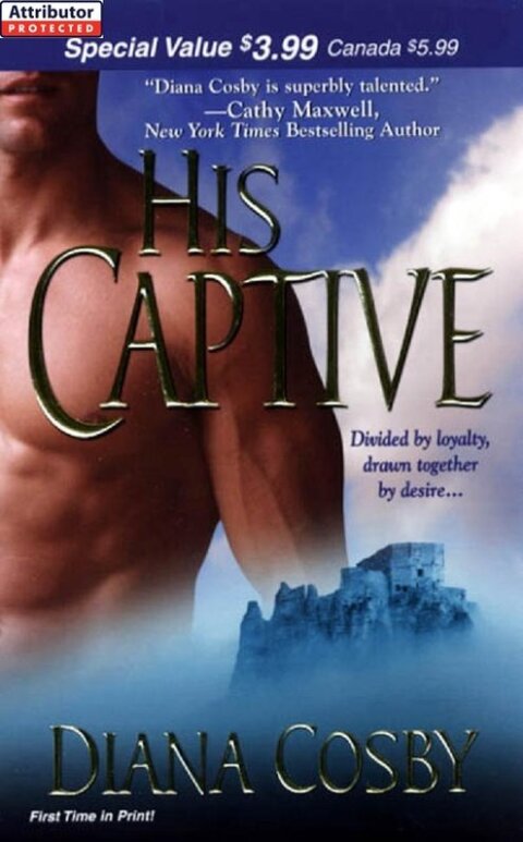 Cover image for book His Captive
