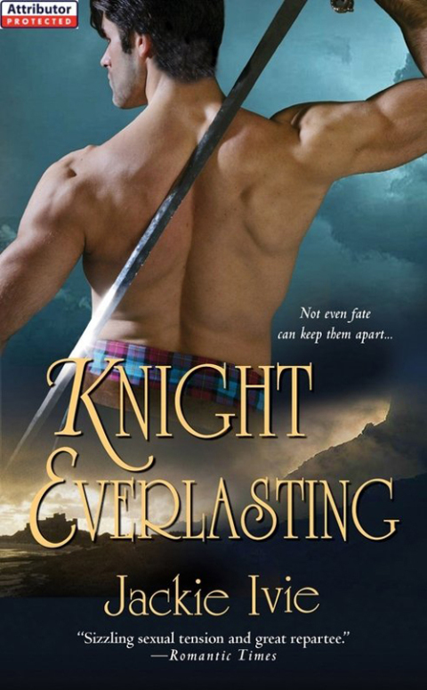 Cover image for book Knight Everlasting