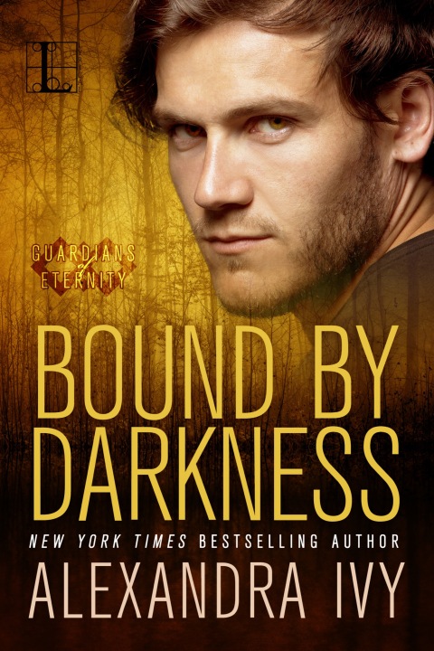 Cover image for book Bound By Darkness