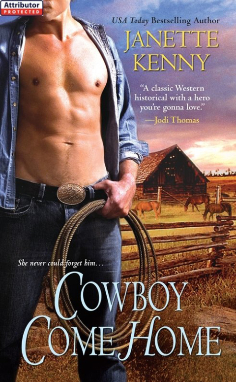 Cover image for book Cowboy Come Home