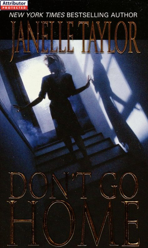 Cover image for book Don't Go Home