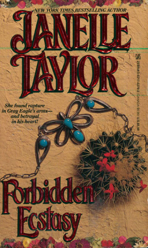 Cover image for book Forbidden Ecstasy