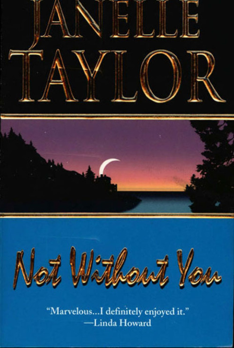 Cover image for book Not Without You
