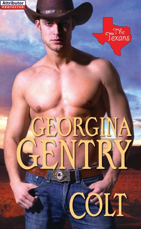 Cover image for book Colt: