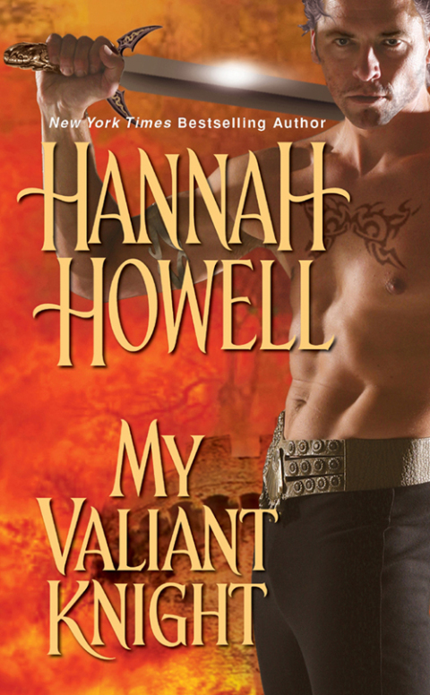 Cover image for book My Valiant Knight