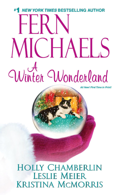 Cover image for book A Winter Wonderland