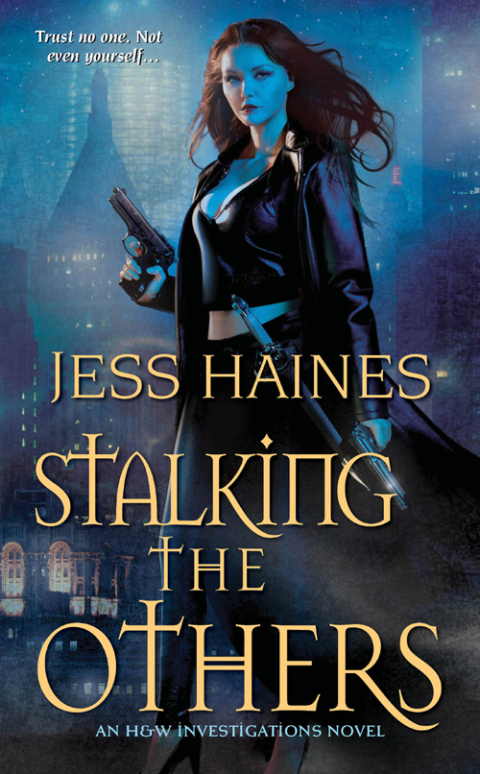 Cover image for book Stalking the Others