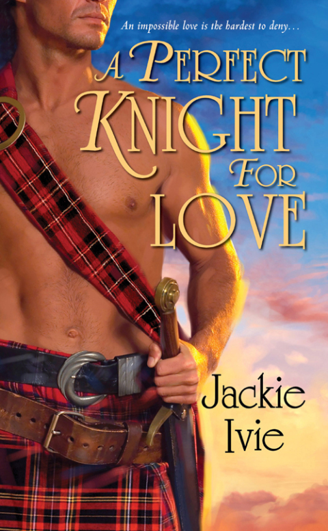 Cover image for book A Perfect Knight for Love