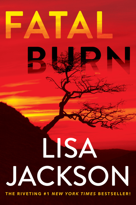 Cover image for book Fatal Burn
