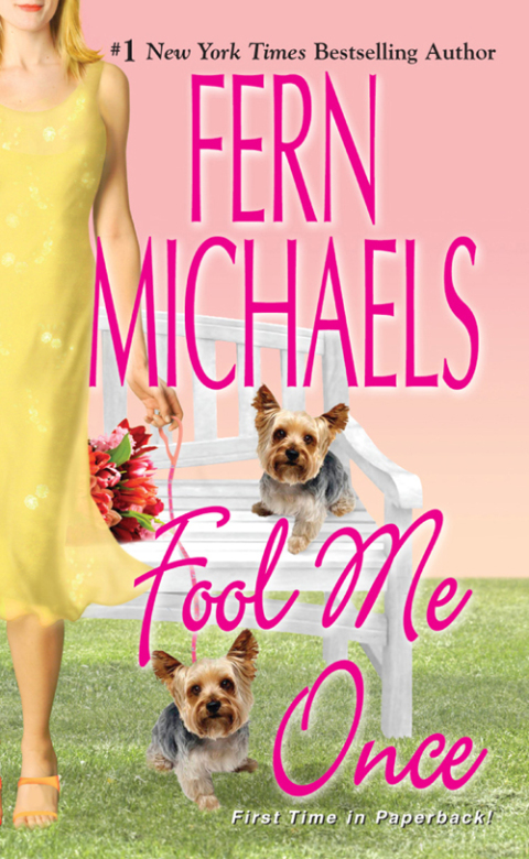 Cover image for book Fool Me Once
