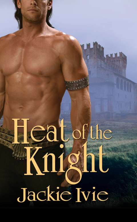 Cover image for book Heat Of The Knight