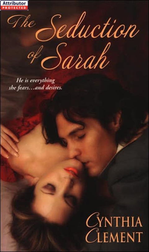 Cover image for book The Seduction Of Sarah