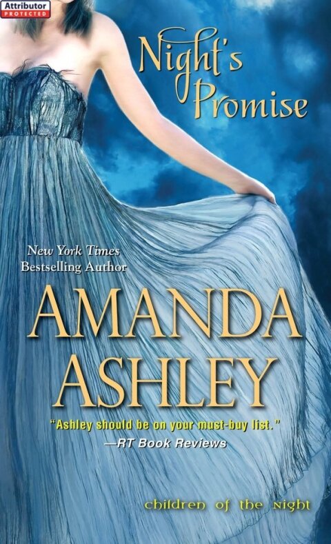 Cover image for book Night's Promise