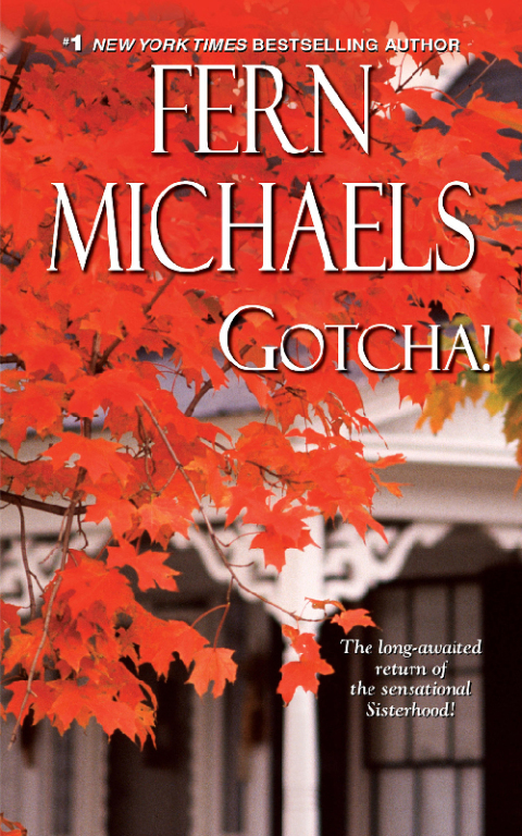 Cover image for book Gotcha!