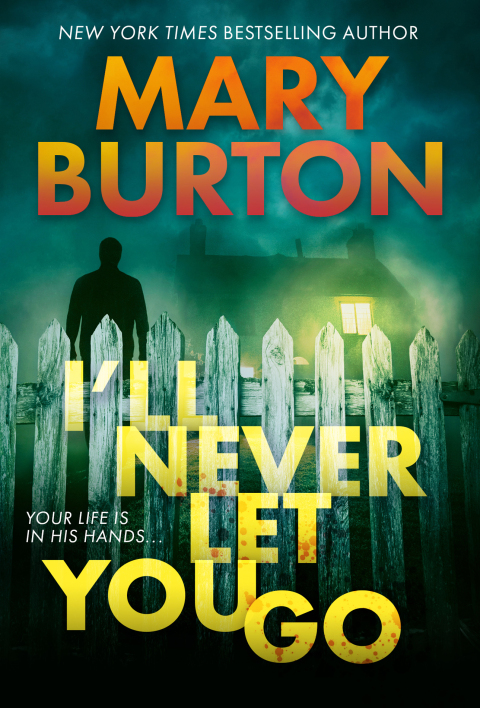 Cover image for book I'll Never Let You Go