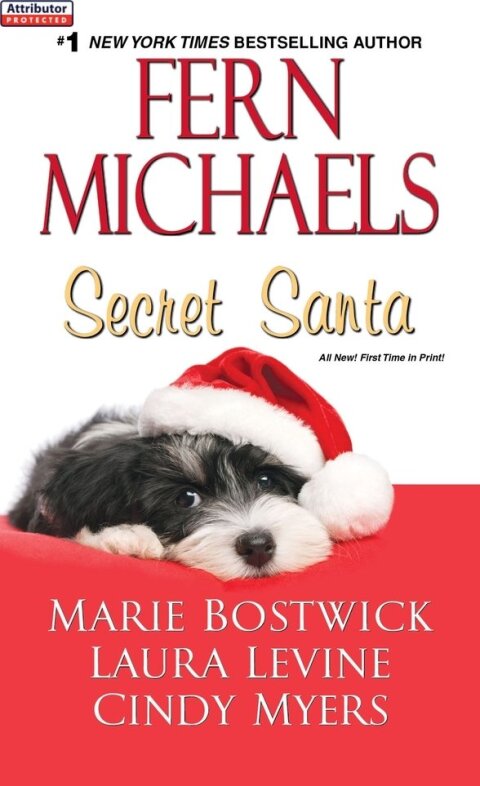 Cover image for book Secret Santa