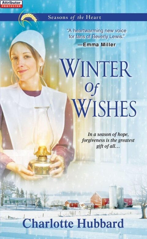 Cover image for book Winter of Wishes