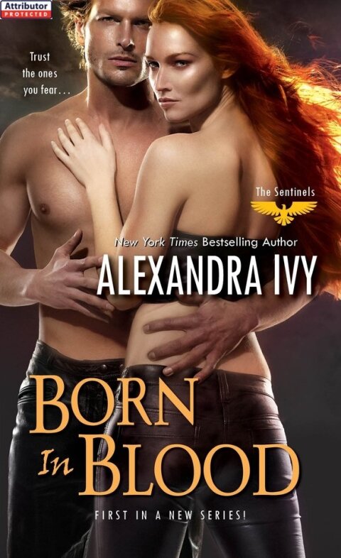Cover image for book Born in Blood