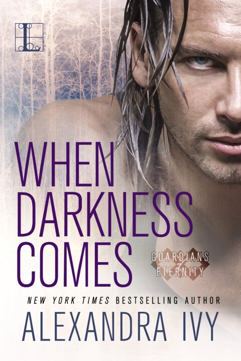 Cover image for book When Darkness Comes