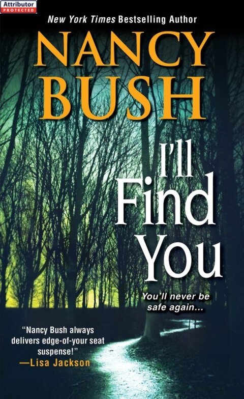 Cover image for book I'll Find You